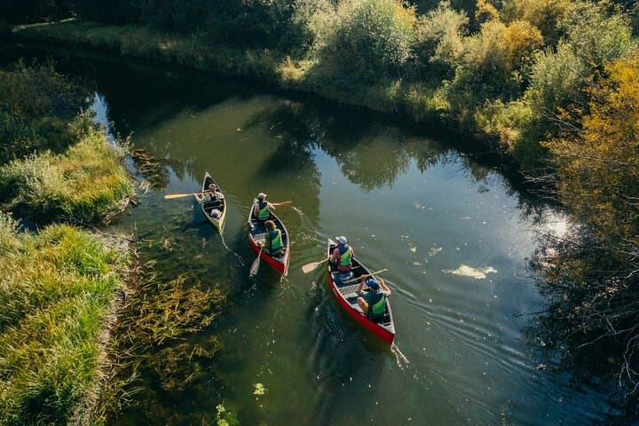 Lake Tahoe Eco Canoe Tour from Tahoe Keys Marina photo 4