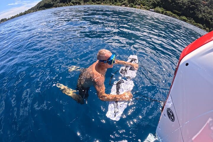 Subwing Snorkeling in Tahiti: Tow-Behind Lagoon Tours with Turtles and Rays photo 3