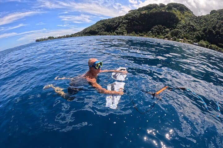 Subwing Snorkeling in Tahiti: Tow-Behind Lagoon Tours with Turtles and Rays photo 4