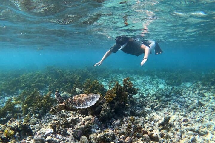 Half-Day Boat Trip to Coco & Félicité from Praslin — Snorkel, Swim, Island Views