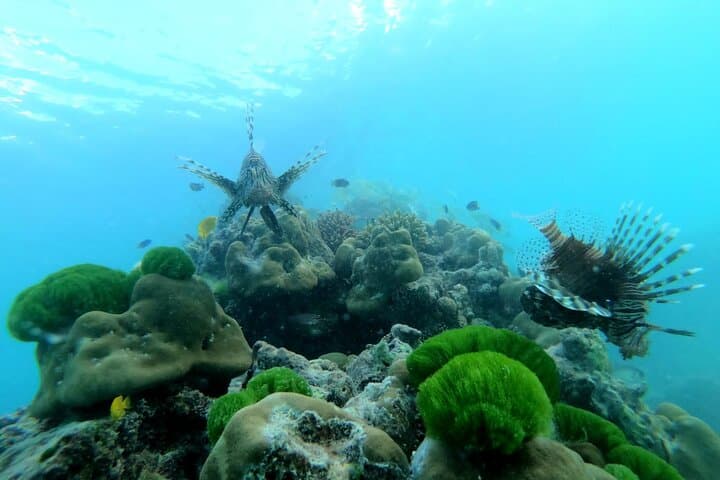 Half-Day Boat Trip to Coco & Félicité from Praslin — Snorkel, Swim, Island Views photo 2