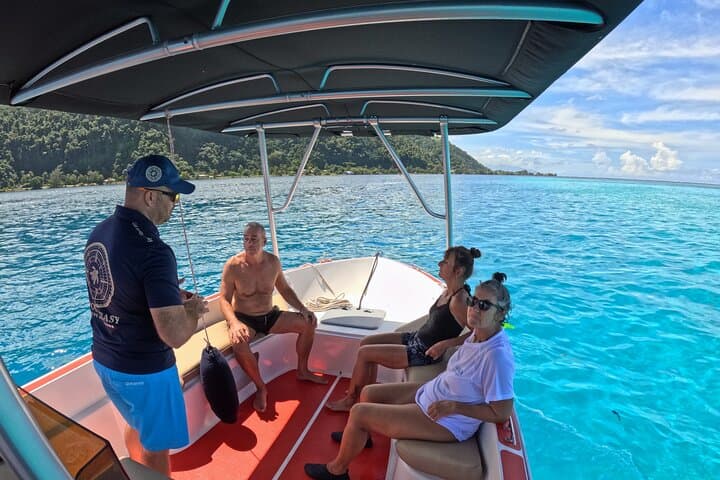 Subwing Snorkeling in Tahiti: Tow-Behind Lagoon Tours with Turtles and Rays photo 2