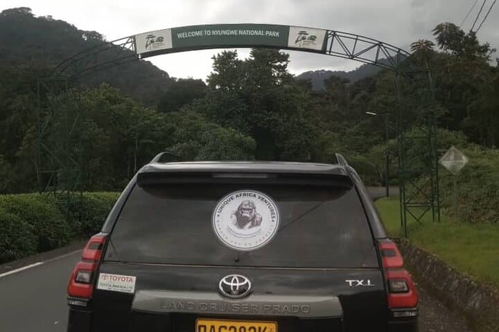 2-Day Private Chimpanzee Tracking & Canopy Walk in Nyungwe National Park photo 4