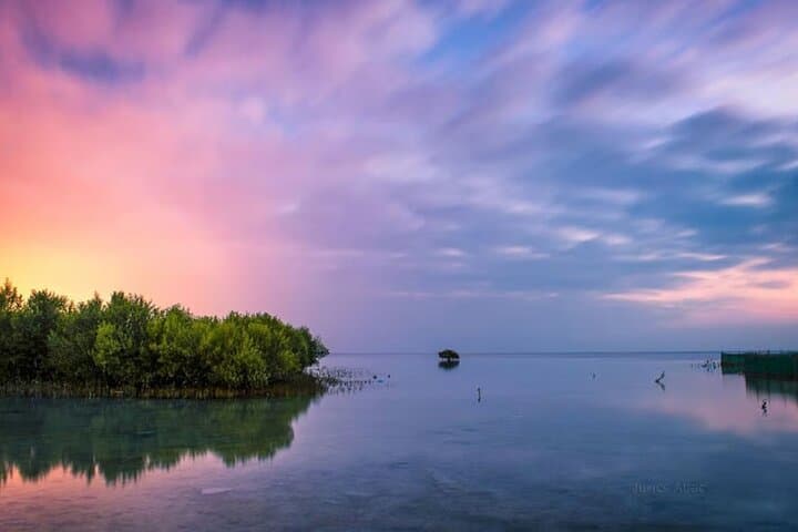 Qatar's Northern Wonders: Full-Day Cultural and Mangrove Tour from Doha photo 4