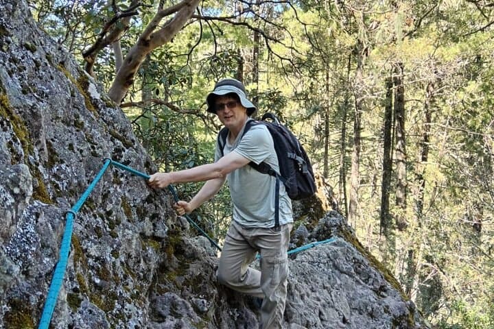 Hiking Cuajimoloyas: Sierra Norte Villages & Pine-Forest Trails photo 3