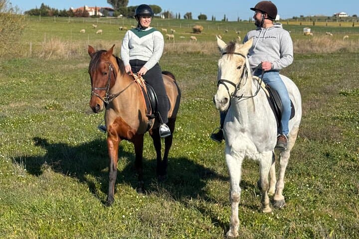 Horse Riding in Évora: Vineyard Trails & Alentejo Countryside photo 2
