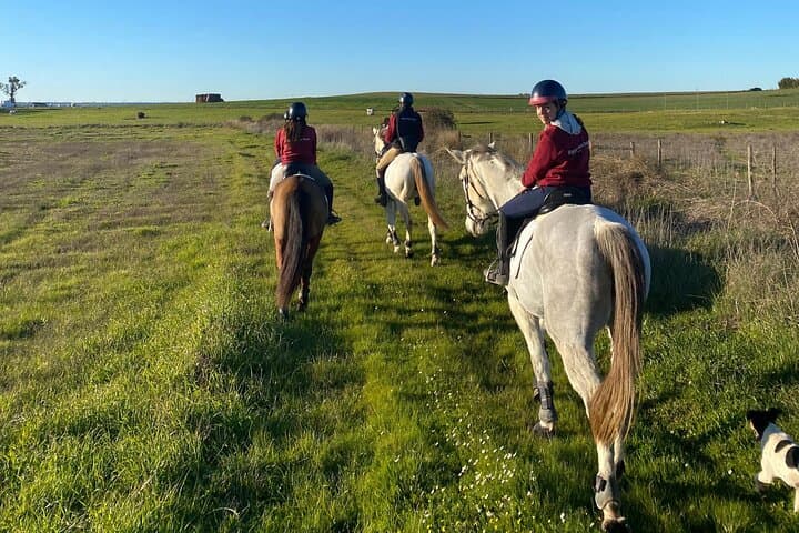 Horse Riding in Évora: Vineyard Trails & Alentejo Countryside photo 5