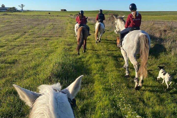 Horse Riding in Évora: Vineyard Trails & Alentejo Countryside photo 6