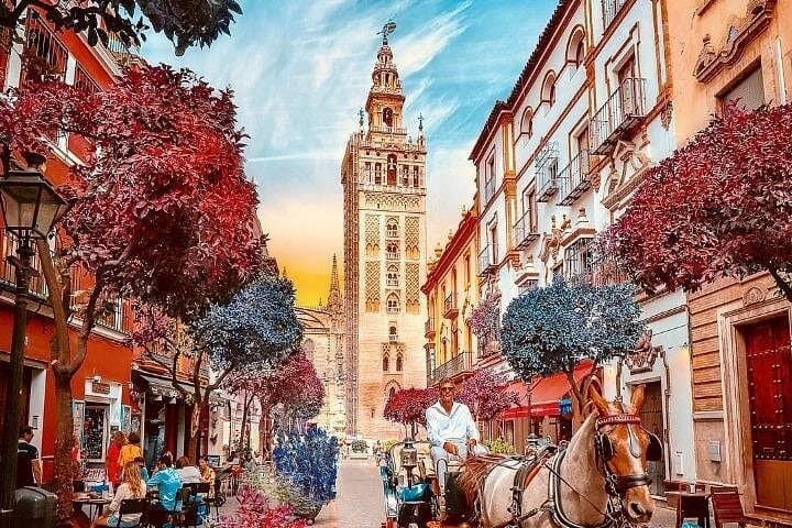 Seville in a Day: Private Day Trip from Cádiz Cruise Port photo 2