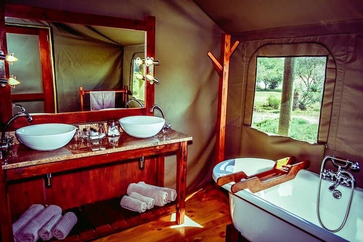 3-Day Buffelsdrift Safari and Ethical Elephant Experience near Oudtshoorn photo 5