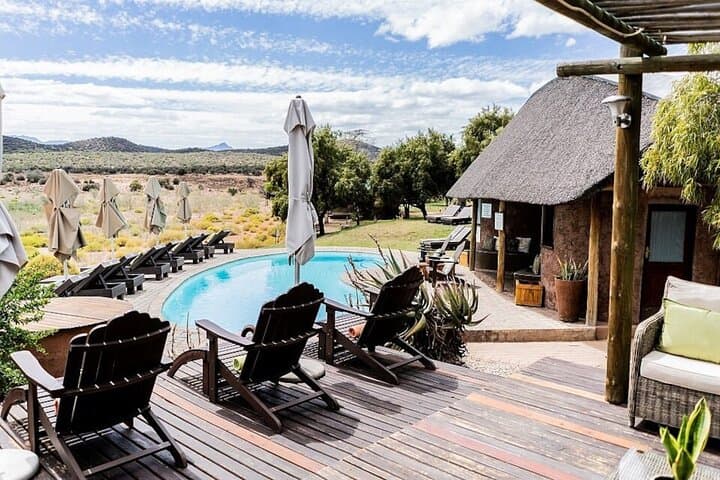 3-Day Buffelsdrift Safari and Ethical Elephant Experience near Oudtshoorn photo 4