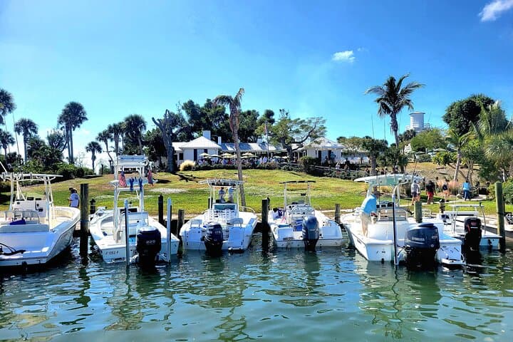 Private Cayo Costa Power Boat to Cabbage Key — Shelling, Beaches & Dolphins photo 2