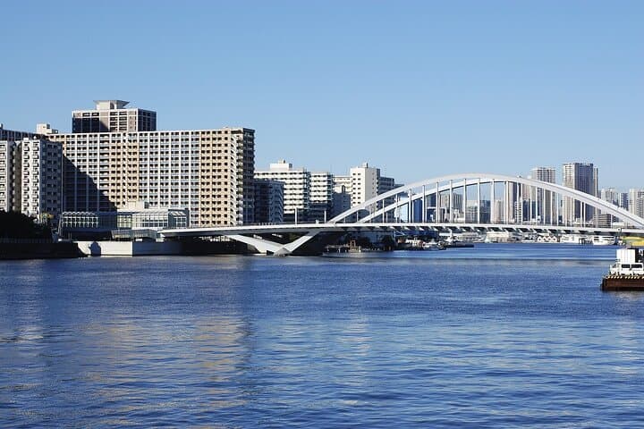 Private Tokyo Sightseeing Tour with English-Speaking Driver — 10-Hour City Highlights photo 4