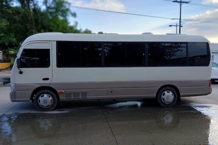 Private Transport in Roatan Bay Islands: Port Transfers and Island Sightseeing photo 2