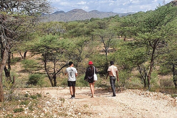 Bushman Walk with the San near Windhoek: Private Guided Cultural Walk photo 3