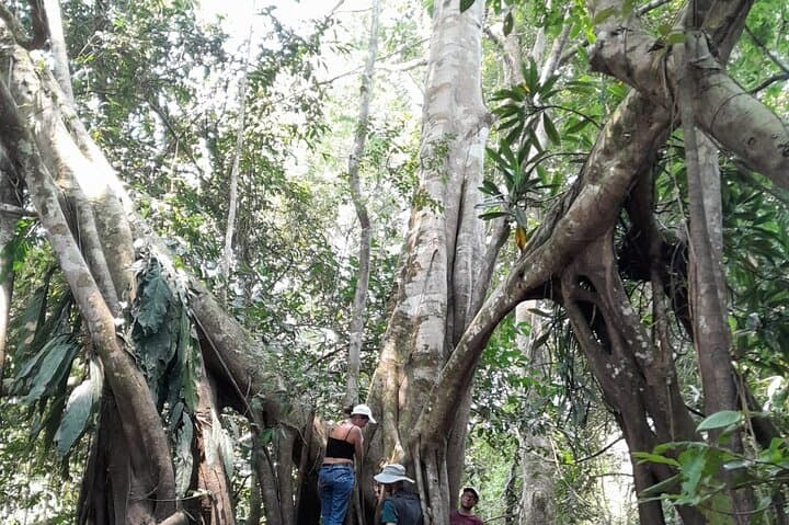 3-Day Amazon Wildlife Adventure from Iquitos: 2 Nights at Tucan Jungle Expedition photo 1
