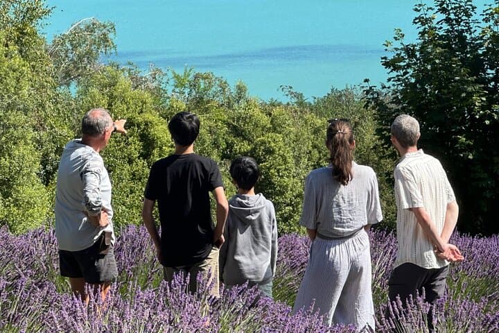 Arataki Conservation Tour: Guided Regenerating Forest Walk & Lavender Fields near Akaroa