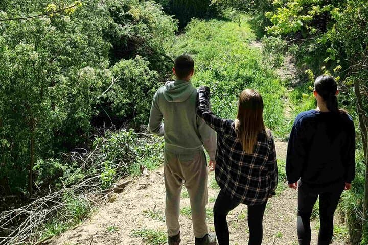 Arataki Conservation Tour: Guided Regenerating Forest Walk & Lavender Fields near Akaroa photo 6