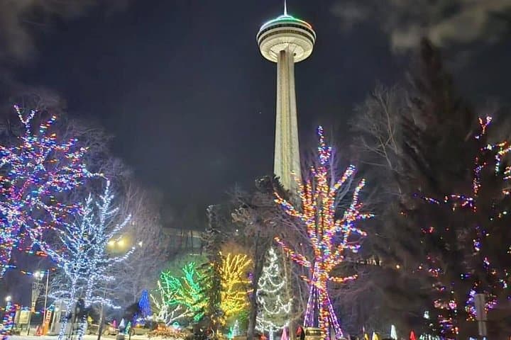 Artist-Led Niagara Falls Viewing Tour: Skylon Tower, Maid of the Mist & Scenic Walks