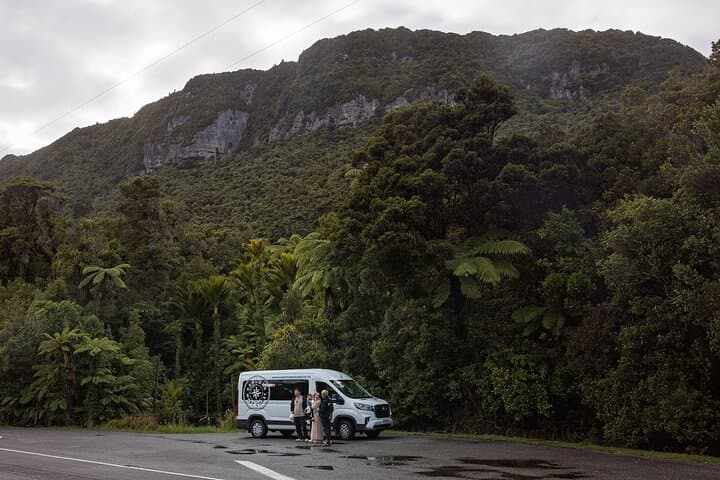 West Coast Full Day Tour — Hokitika Gorge, Tree Top Walk & Pancake Rocks photo 2