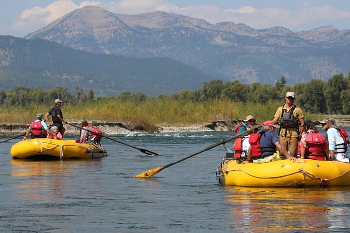 Snake River Scenic Float: Private Teton River Cruise & Wildlife Viewing photo 5