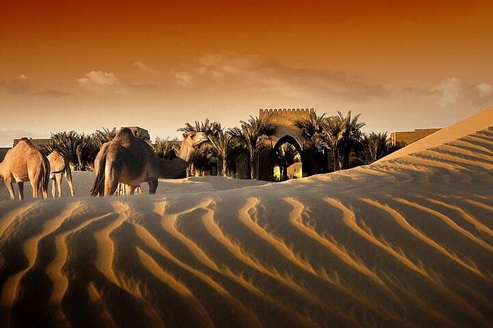 Dubai Desert Dune Bashing and Bab Al Shams Dinner Experience photo 6