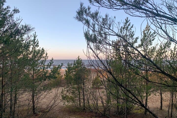 Hike Garezeri: Forest Trails to a Hidden Beach Near Riga photo 4