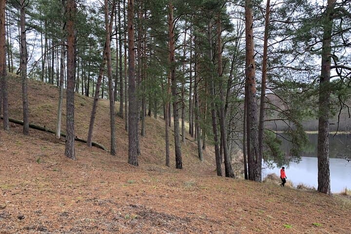 Hike Garezeri: Forest Trails to a Hidden Beach Near Riga photo 3