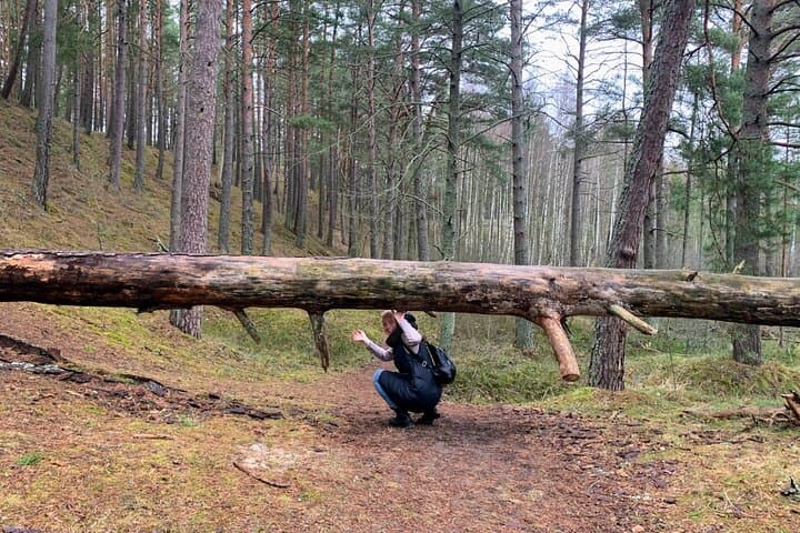 Hike Garezeri: Forest Trails to a Hidden Beach Near Riga