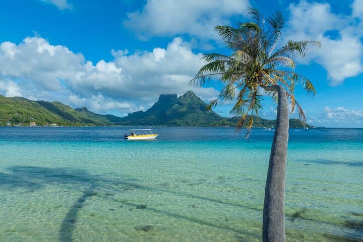 Half-Day Bora Bora Snorkel with Rays, Mantas & Coral Gardens