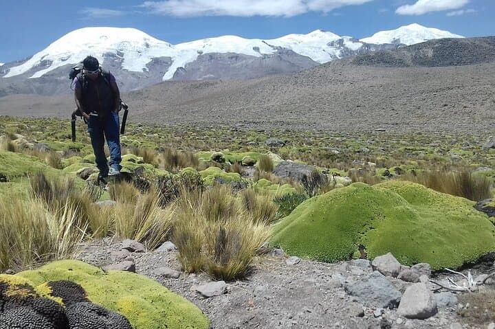 Climb Coropuna Volcano: 3-Day Expedition to Peru's 6,425m Summit photo 3