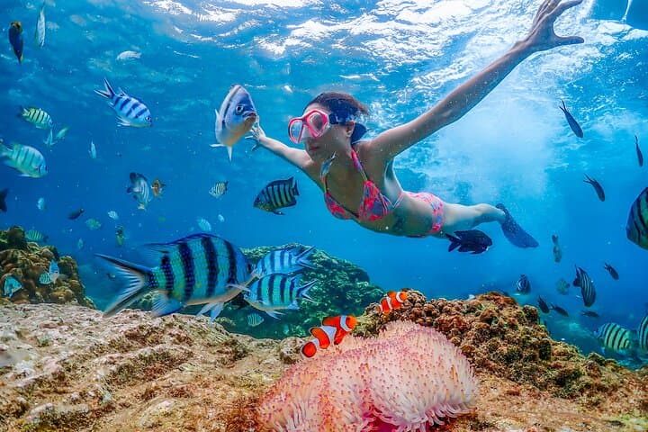 Nemo Island Snorkeling & Khao Chi Chan (Big Buddha) Day Trip from Bangkok photo 1