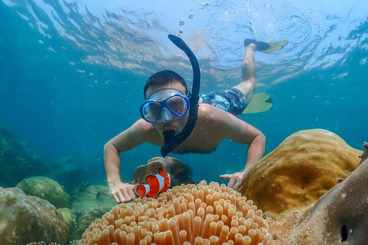 Nemo Island Snorkeling & Khao Chi Chan (Big Buddha) Day Trip from Bangkok photo 3
