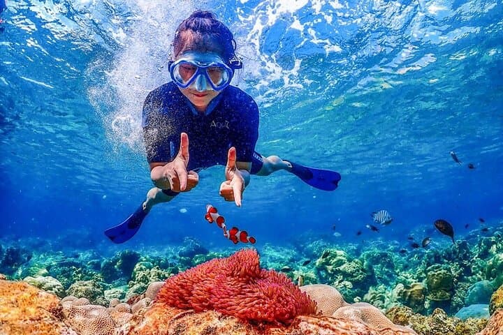 Pattaya to Nemo Island: Snorkel, Drone Photos & Buddha Mountain Day Trip photo 4