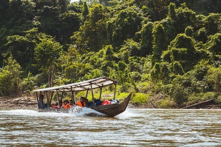 Taman Negara Jungle Odyssey: One-Day Rainforest Trek and Canopy Walk photo 2