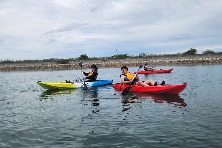 Awaji Island Beginner Stand-Up Paddleboarding Tour on Osaka Bay photo 5