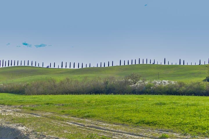 Val d'Orcia Wine Day Trip: Brunello, Pecorino & Hilltop Villages photo 5