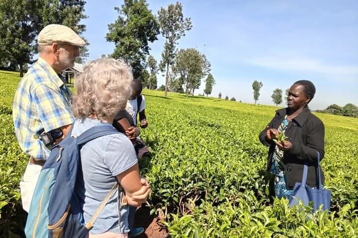 Limuru Tea Farm Day Trip from Nairobi — Kiambethu Tea & Forest Walk photo 2