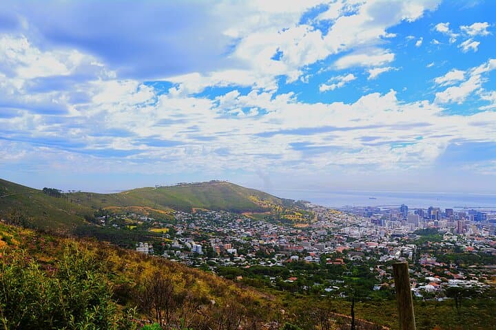 Table Mountain & Kirstenbosch: Cape Town’s Ultimate Nature Duo photo 4