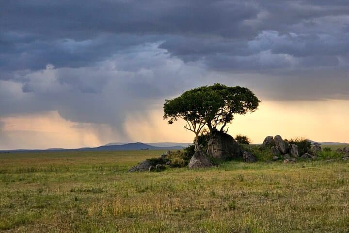 4-Day Tarangire, Serengeti & Ngorongoro Safari from Arusha photo 2