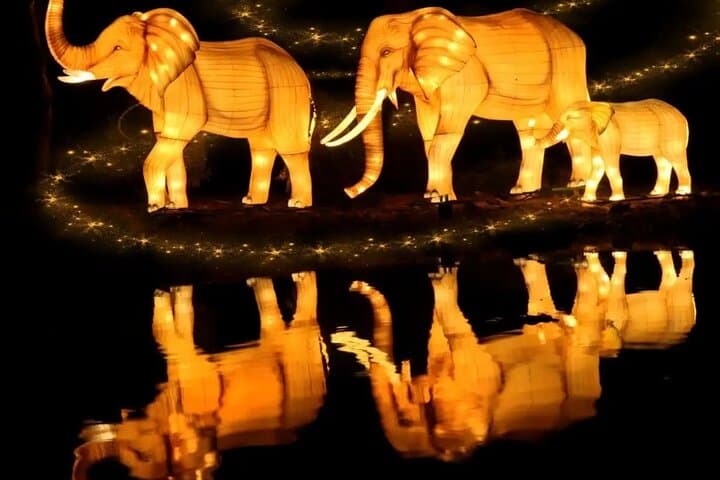 Dubai Garden Glow: Nighttime Illuminations & Recycled Art Experience photo 3