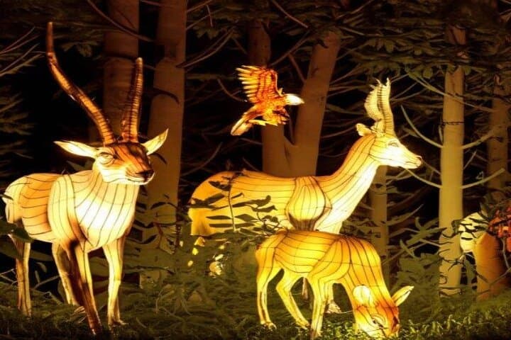 Dubai Garden Glow: Nighttime Illuminations & Recycled Art Experience photo 4