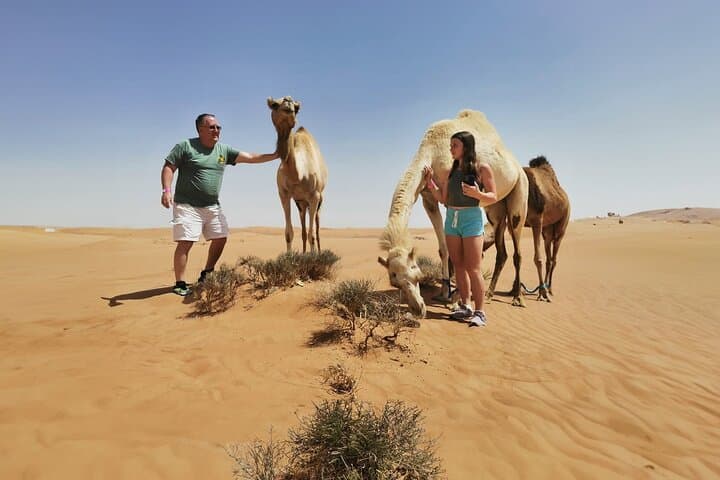 Morning Lahbab Desert Safari: Camel Trek, Quad Biking & Sandboarding from Dubai