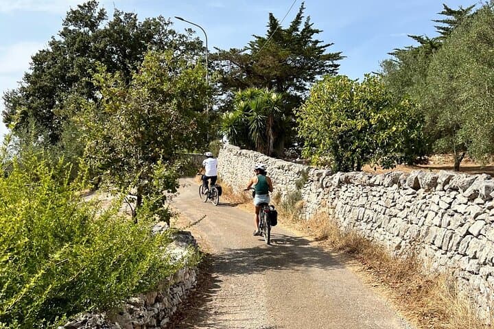 Itria Valley E-Bike Tour: Martina Franca to Cisternino