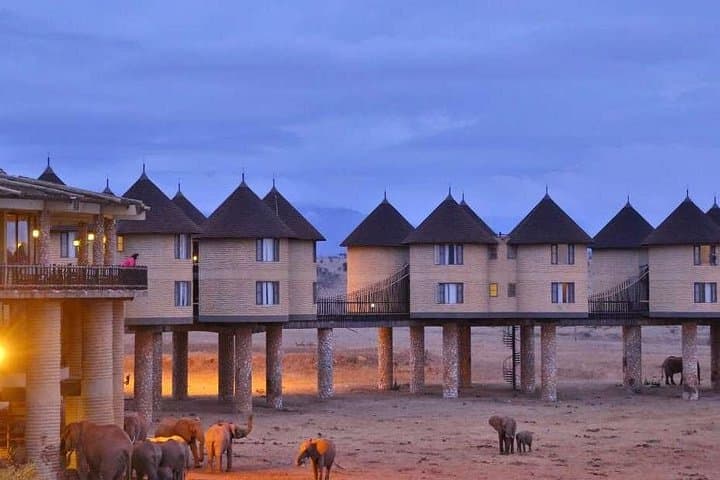 2-Day Taita Hills Safari from Nairobi — Overnight at Salt Lick Lodge photo 2