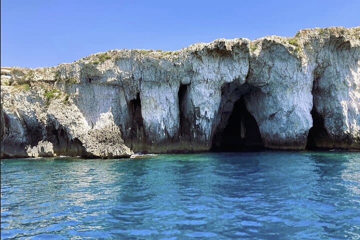 Explore Syracuse Coast and Spot Dolphins on a Captivating Boat Tour