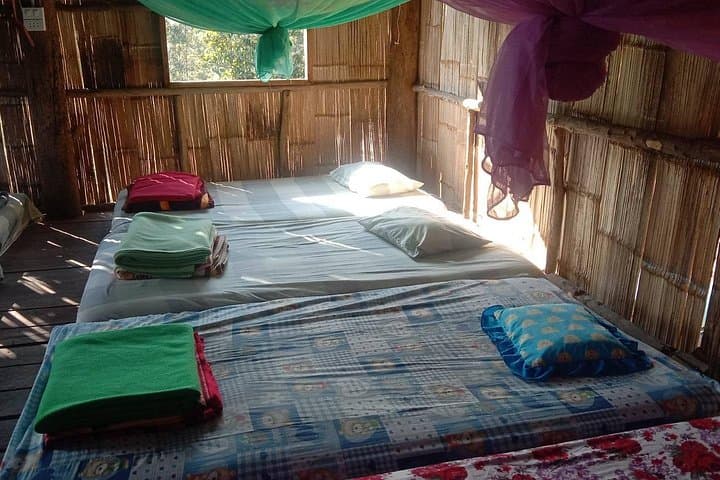 Chiang Mai Hill Tribe Trek: 2–3 Day Ethical Elephant Experience, Waterfalls & Bamboo Rafting photo 4