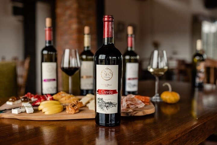 S&S Winery Wine Tasting Experience — Wine, Brandy & Lake Ohrid Views photo 5
