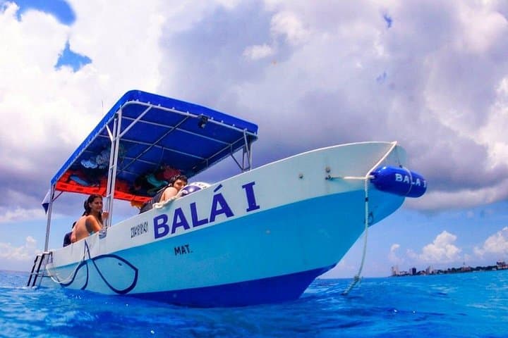 Cozumel 4-Hour Private Snorkel Trip to El Cielito and Reefs
