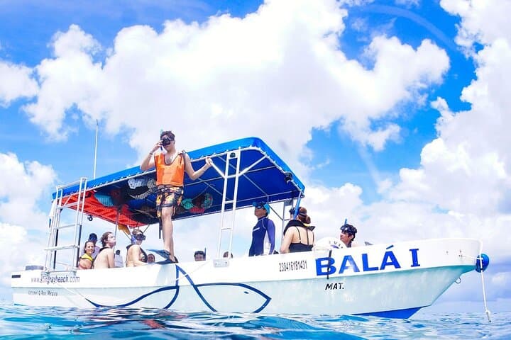Cozumel 4-Hour Private Snorkel Trip to El Cielito and Reefs photo 2